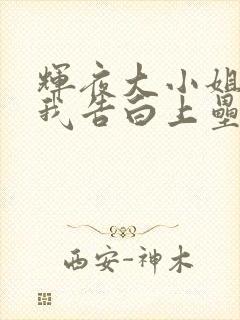 辉夜大小姐想让我告白上垒