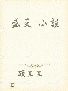 盛天 小说