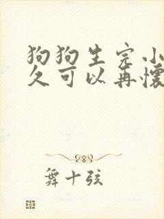 狗狗生完小狗多久可以再怀孕