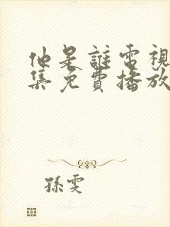 他是谁电视剧全集免费播放