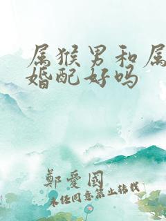 属猴男和属兔女婚配好吗