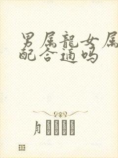 男属龙女属鼠相配合适吗
