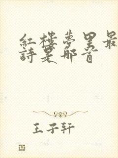 红楼梦里最长的诗是哪首