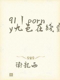 91丨porny九色在线观看