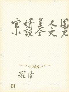 官婿美人图安江小说全文免费阅读