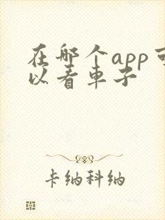 在哪个app可以看车子