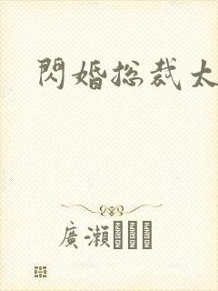 闪婚总裁太深情