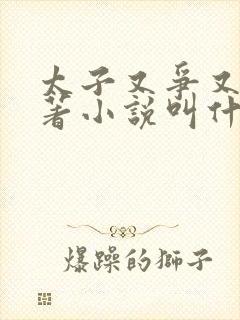 太子又争又抢原著小说叫什么名字