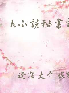 h小说秘书调教