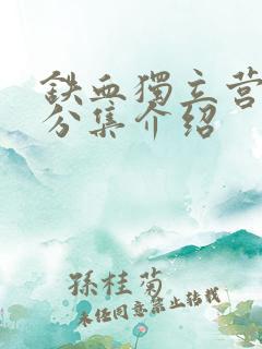 铁血独立营剧情分集介绍