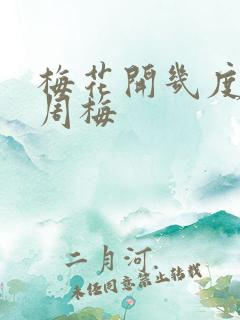 梅花开几度老张周梅