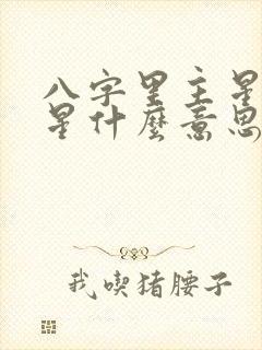 八字里主星和副星什么意思