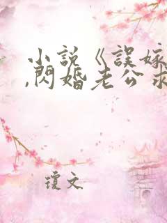 小说《误嫁豪门,闪婚老公求见面》