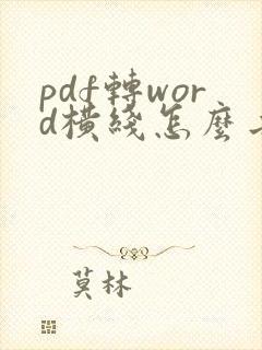 pdf转word横线怎么去掉