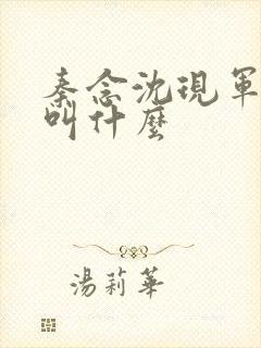 秦念沈现军短剧叫什么