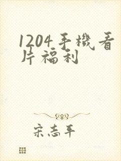 1204手机看片福利