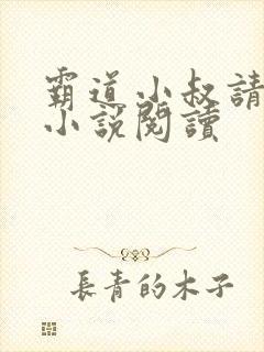 霸道小叔请轻撩小说阅读