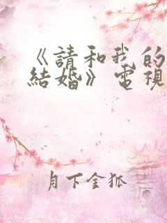 《请和我的老公结婚》电视剧日剧