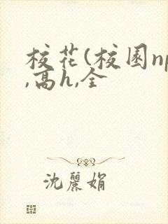 校花(校园np,高h,全