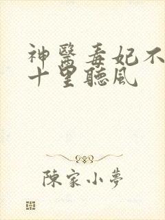 神医毒妃不好惹十里听风