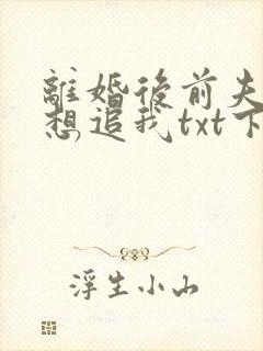离婚后前夫总是想追我txt下载