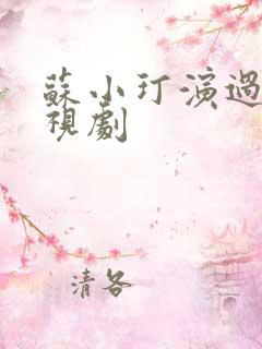 苏小玎演过的电视剧