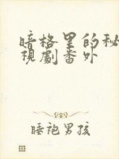 暗格里的秘密电视剧番外