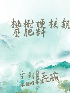 桃树硬核期施什么肥料