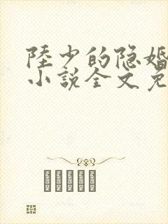陆少的隐婚罪妻小说全文免费阅读