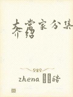 大当家分集剧情介绍