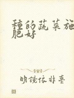种的蔬菜施什么肥好