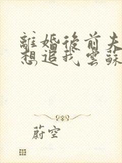 离婚后前夫总是想追我云苏