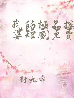 我的极品总裁老婆短剧免费高清完整版