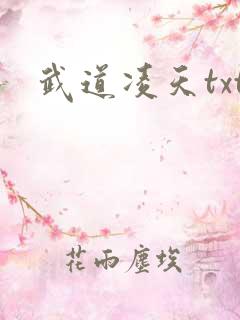 武道凌天txt