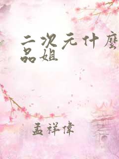 二次元什么叫产品姐
