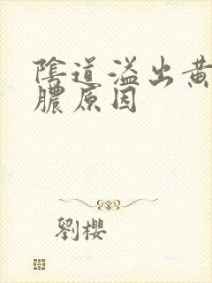 阴道溢出黄色的脓原因