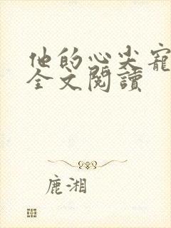 他的心尖宠免费全文阅读