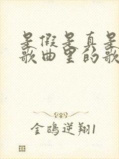是假是真是哪首歌曲里的歌词