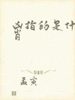 凶指的是什么生肖