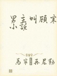 男主叫顾寒生的小说