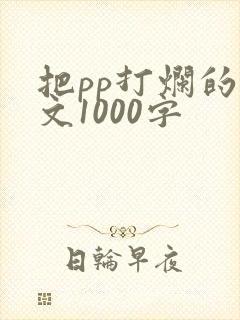 把pp打烂的作文1000字