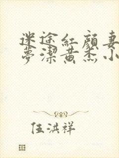 迷途红颜妻子陈梦洁黄杰小说