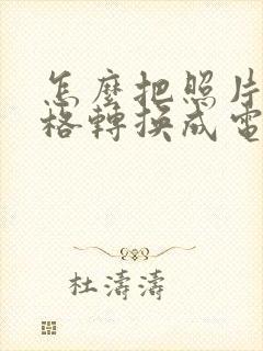 怎么把照片的表格转换成电子版