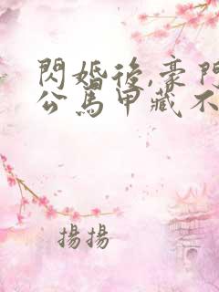 闪婚后,豪门老公马甲藏不住第三部