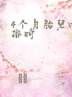 4个月胎儿四维排畸