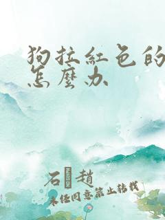 狗拉红色的稀屎怎么办