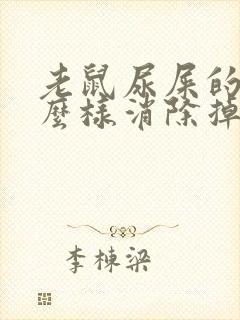 老鼠尿屎的味怎么样消除掉