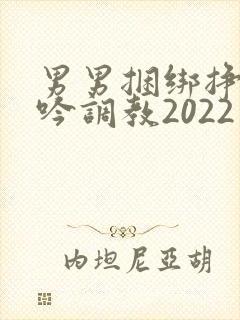 男男捆绑挣扎呻吟调教2022