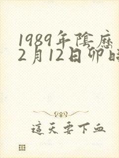 1989年阴历2月12日卯时出生的五行八字