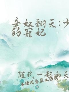 弃奴翻天:少帝的宠妃